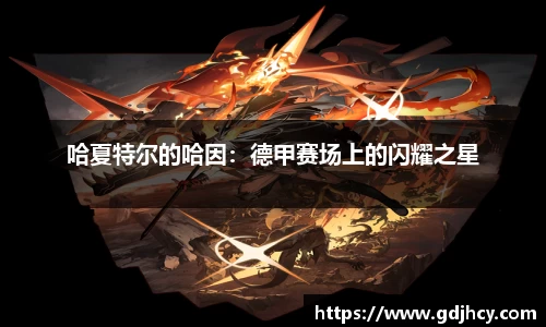 哈夏特尔的哈因：德甲赛场上的闪耀之星
