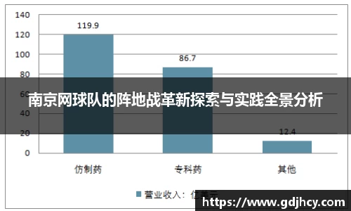 南京网球队的阵地战革新探索与实践全景分析