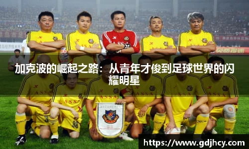 博鱼中国官方网站