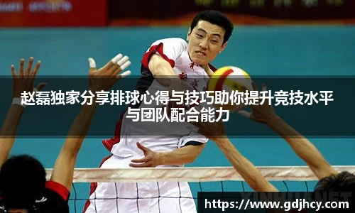 赵磊独家分享排球心得与技巧助你提升竞技水平与团队配合能力