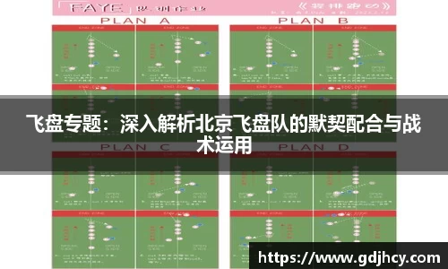 飞盘专题：深入解析北京飞盘队的默契配合与战术运用